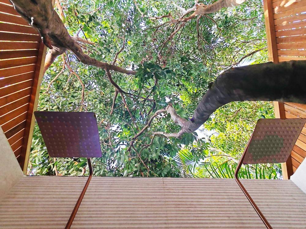 Coliver - Coliving A La Reunion Saint Pierre Buitenkant foto