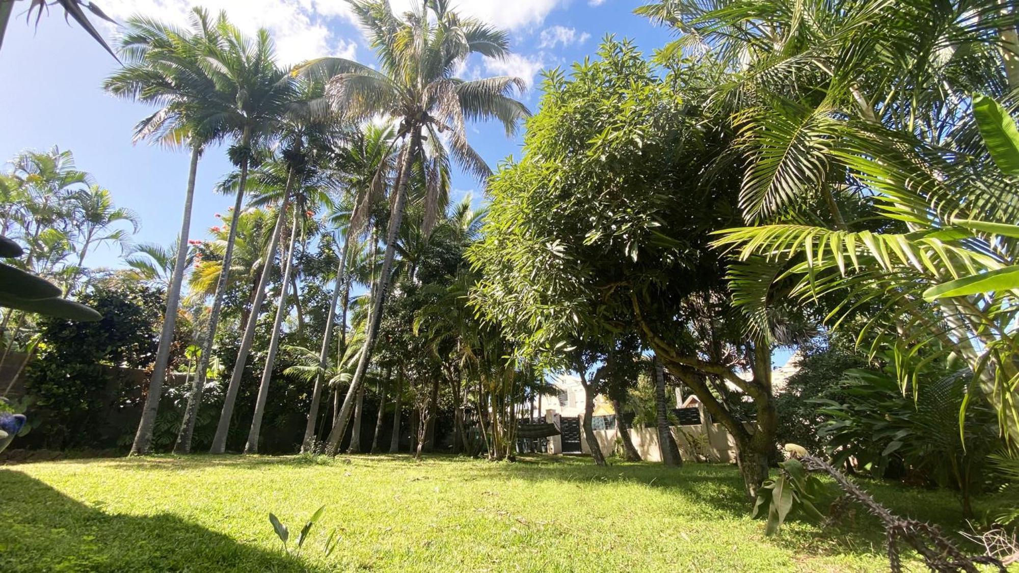 Coliver - Coliving A La Reunion Saint Pierre Buitenkant foto