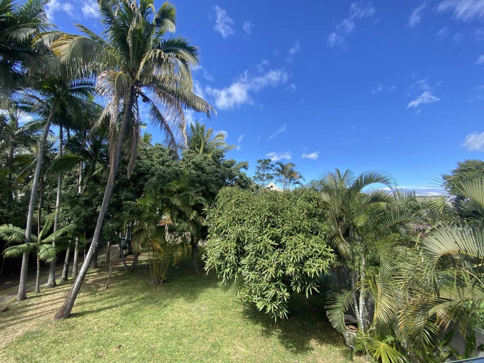 Coliver - Coliving A La Reunion Saint Pierre Buitenkant foto