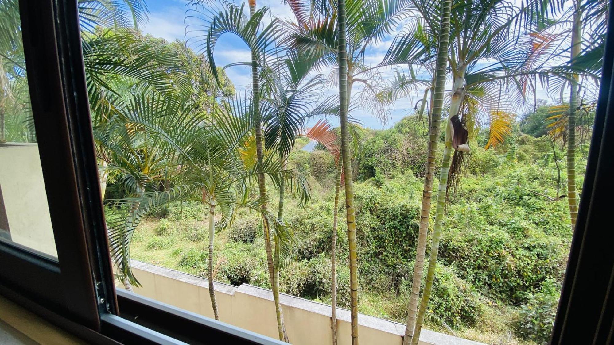 Coliver - Coliving A La Reunion Saint Pierre Buitenkant foto